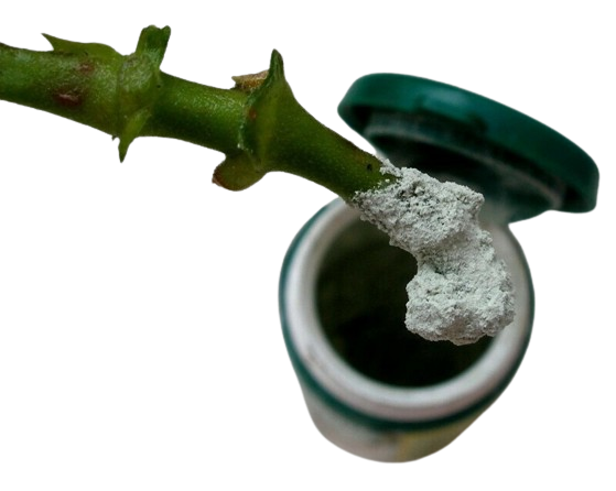 Radicin Ορμόνη Ριζοβολίας 25gr - Image 2