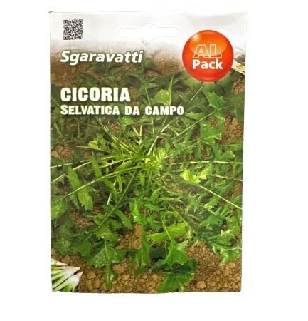 Σπόροι Ραδικιού Sgaravatti Cicoria Selvatica da campo