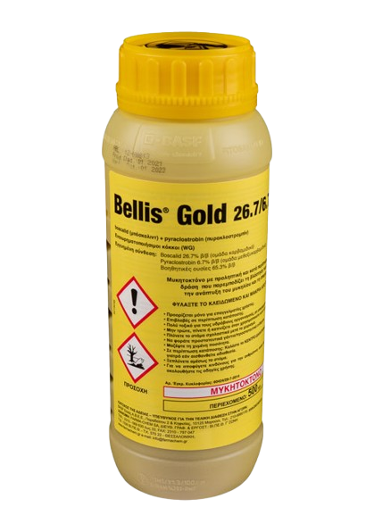 Bellis Gold 26,7/6,7 WG 500gr