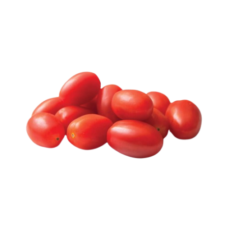 Σπορόφυτο Ντομάτα Βελανίδι 77Θέσεων