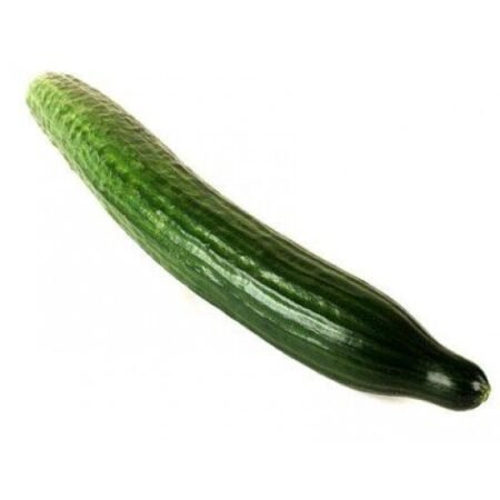 Σπορόφυτο Αγγούρι Εμβολιασμένο 77Θέσεων