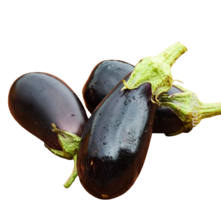 Σπορόφυτο Μελιτζάνα Εμβολιασμένη Μακριά 77Θέσεων