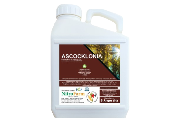 ASCOCKLONIA Εκχύλισμα Φυκιών