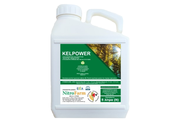 KELPOWER-Ecklonia Maxima