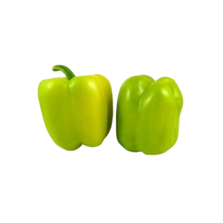 Σπορόφυτο Πιπεριά Γεμιστη 77Θέσεων